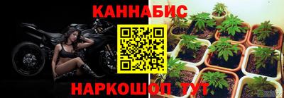 spice Канаш