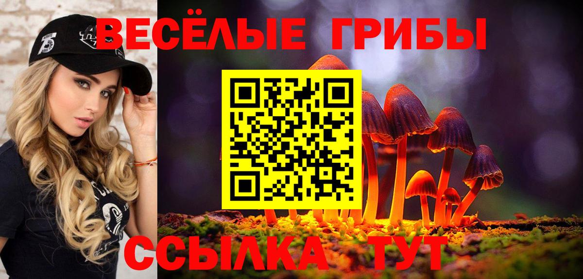 Галлюциногенные грибы Cubensis Лангепас